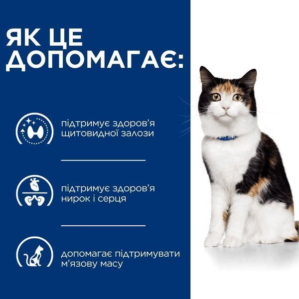 Лечебный сухой корм Hill's PD Feline Y/D Thyroid Care для поддержания здоровья щитовидной железы у кошек 3 кг 605926 фото