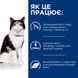 Лечебный сухой корм Hill's PD Feline Y/D Thyroid Care для поддержания здоровья щитовидной железы у кошек 3 кг 605926 фото 3