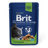 Влажный корм для стерилизованных кошек Brit Premium Cat Chicken Slices for Sterilised pouch 100 г кусочки курицы 100275 /506033 фото