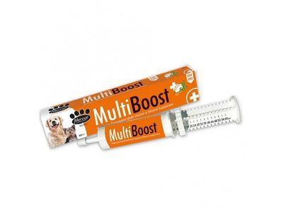 Мультивитаминная паста Mervue MultiBoost Pasta for Dogs для иммунитета собак и щенков 60 ml C01346-01584 фото