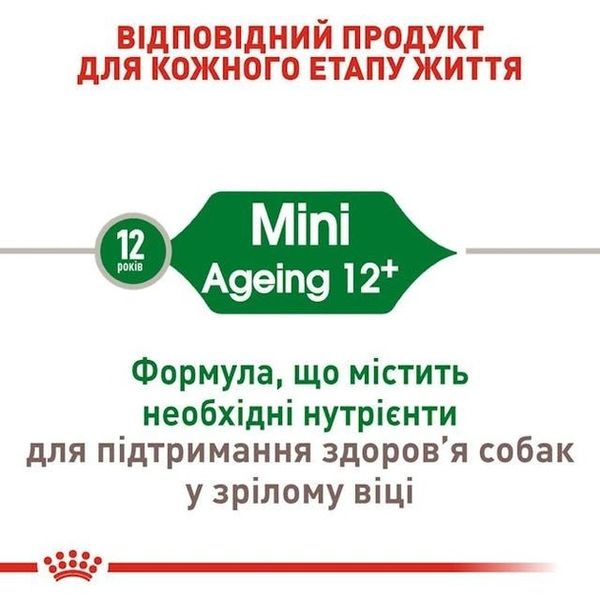 Сухий корм Royal Canin Mini Ageing 12+ для собак малих порід старше 12 років 800 г 1007008 фото