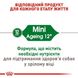 Сухой корм Royal Canin Mini Ageing 12+ для собак малых пород старше 12 лет 800 г 1007008 фото 3