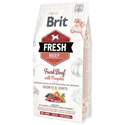 Сухой корм Brit Fresh Beef with Pumpkin Puppy Large для щенков крупных пород с говядиной и тыквой 12 кг 170991/530755 фото