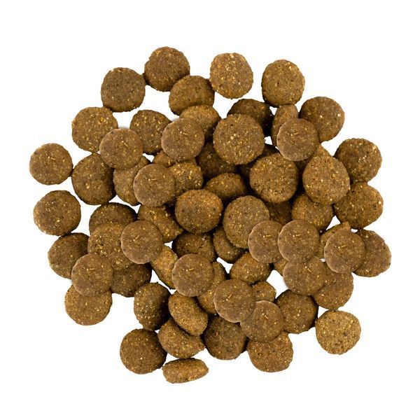 Сухий корм для цуценят великих порід Savory Junior Large Breed Fresh Turkey & Chicken індичка та курка 12 кг 30211 фото