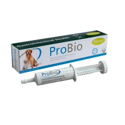 Пробиотик Mervue ProBio paste для поддержания здоровья кишечника и иммунитета собак 30 ml C03360-03543 фото