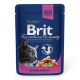 Влажный корм для кошек Brit Premium Salmon & Trout pouch 100 г лосось и форель 100271 /505999 фото