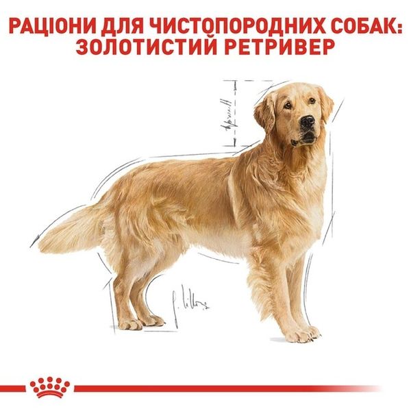 Сухий корм Royal Canin Golden Retriever Adult для собак старше 15 місяців 12 кг 3970120 фото