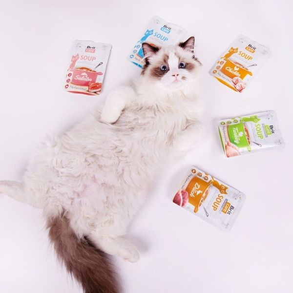 Вологий корм для котів Brit Care Soup pouch Лосось 75 г 101153 фото