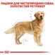 Сухой корм Royal Canin Golden Retriever Adult для собак старше 15 месяцев 12 кг 3970120 фото 7